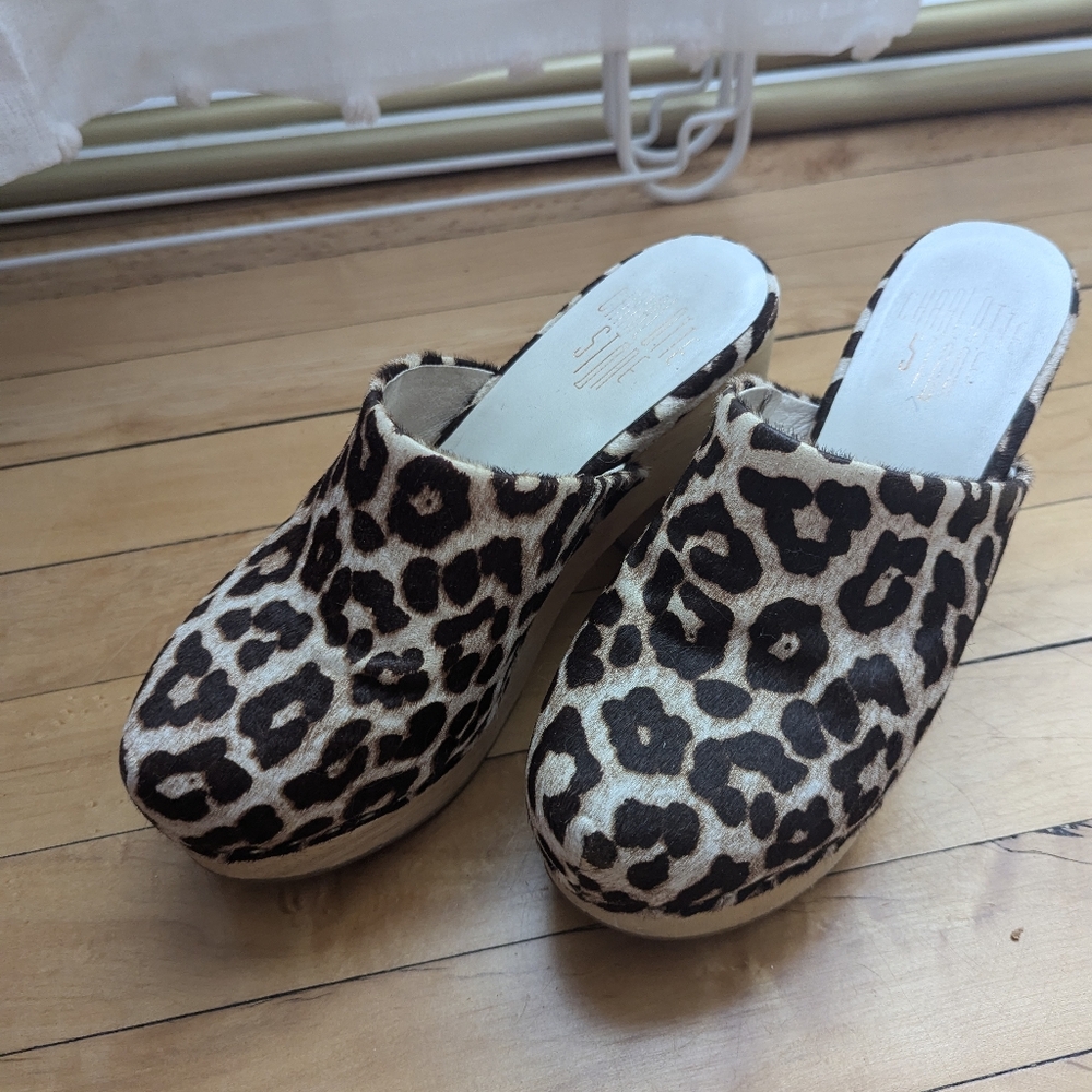 Size 7 Charlotte Stone Clogs